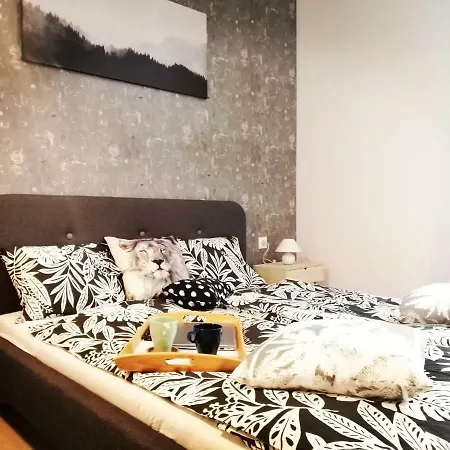 Culture Brooklyn Forest Apartment Budapest